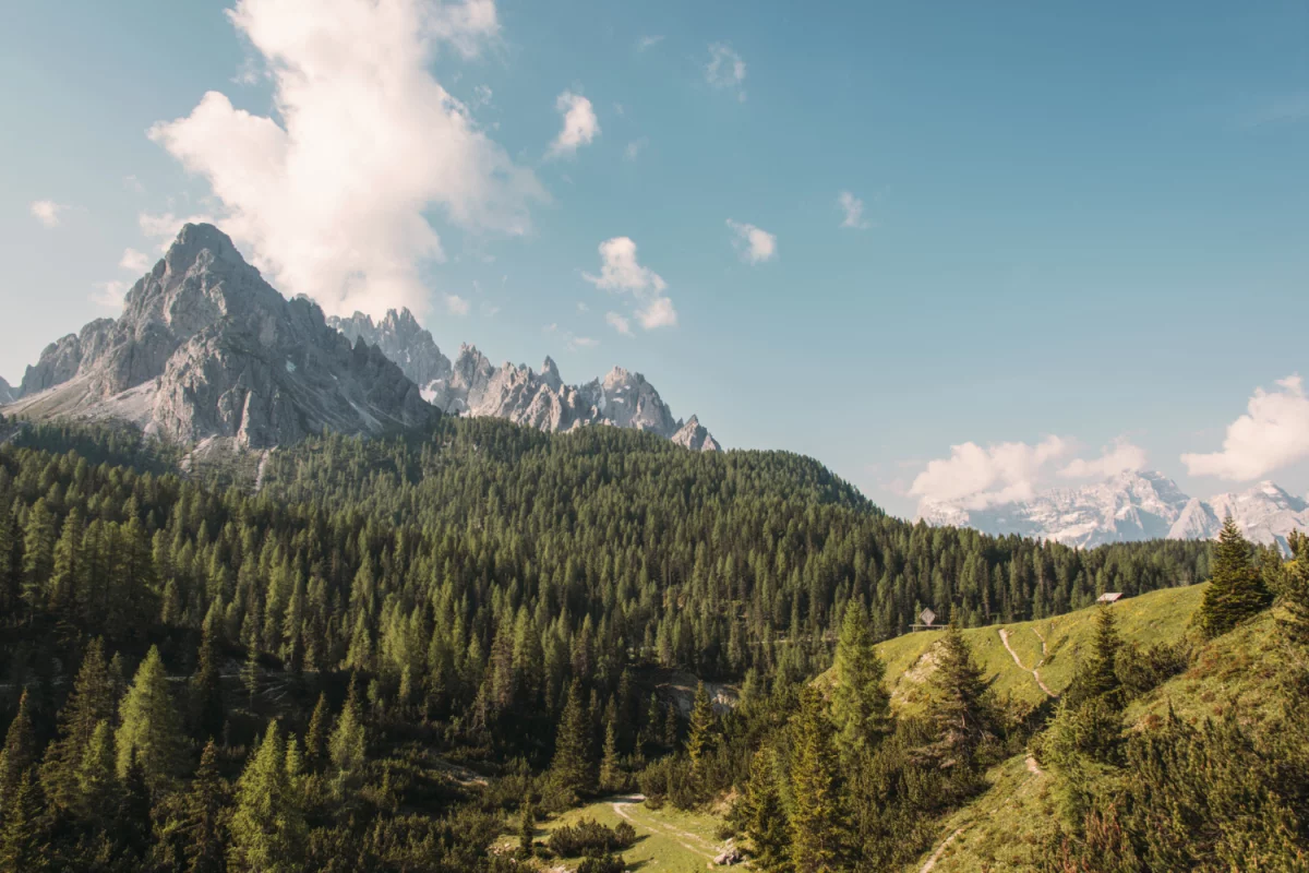 Certyfikat EcoVadis - Kompleksowe Wsparcie w Uzyskaniu Certyfikacji: Jak Zwiększyć Swoją Przewagę Konkurencyjną?