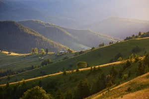 Czym różni się RTV od AGD i dlaczego warto znać tę różnicę?