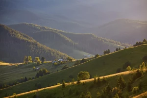 Najlepsze materiały na wentylowane siedziska — siatka, skóra, tkanina